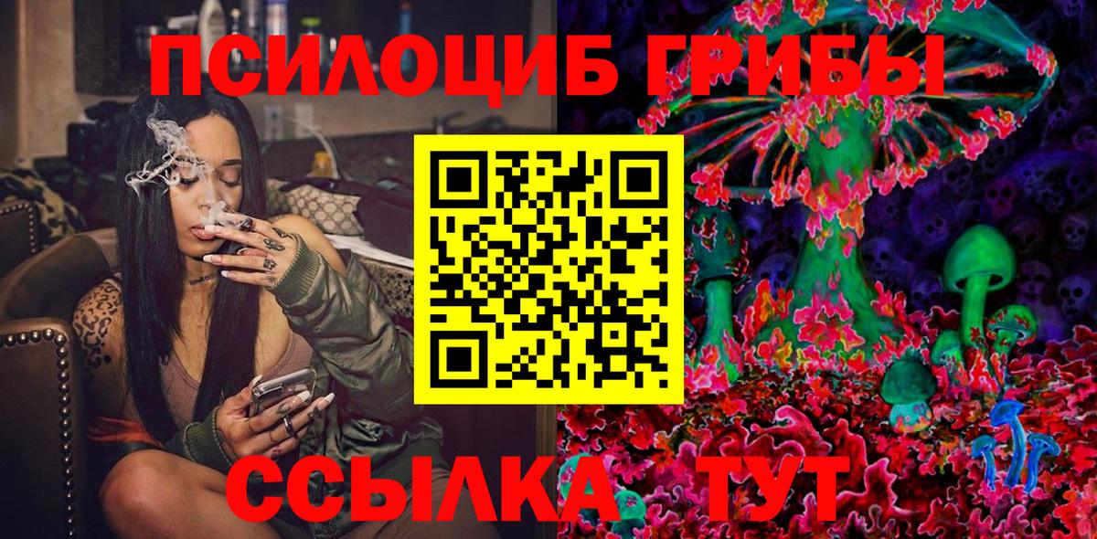 Псилоцибиновые грибы мицелий  Псилоцибиновые грибы Cubensis  Вход с VPN  Красноармейск 